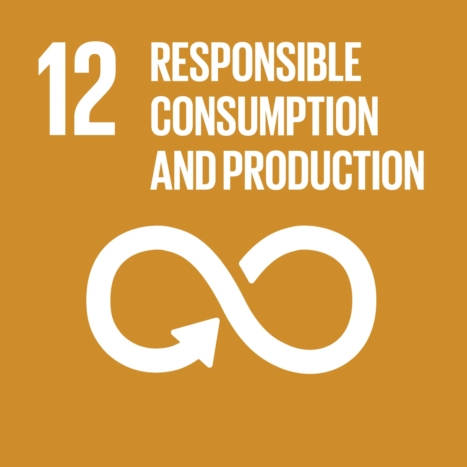 SDG 12 icon: Responsible Consumption and Production
