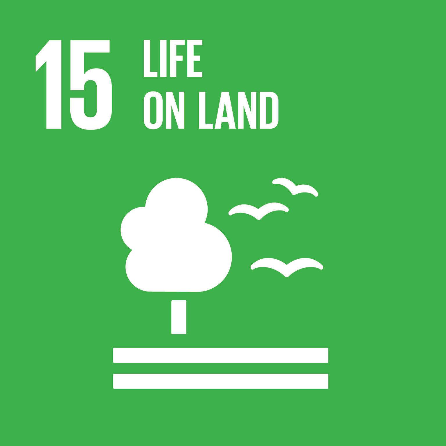 SDG 15 icon: Life on Land